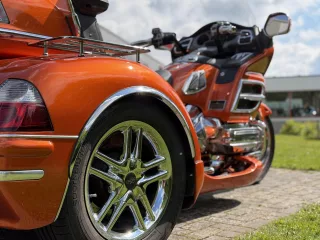 82 (8)