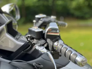 73 (10)