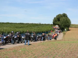 100_201109-30.-intern-GWCD-