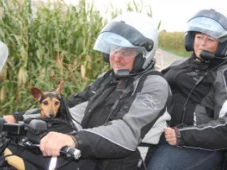 013_201109-30.-intern-GWCD-