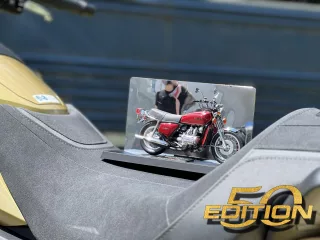Edition 50 Gold (13)