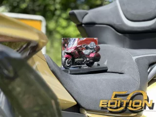 Edition 50 Gold (12)