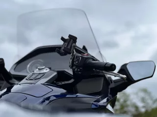 19