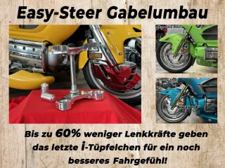 EasySteer