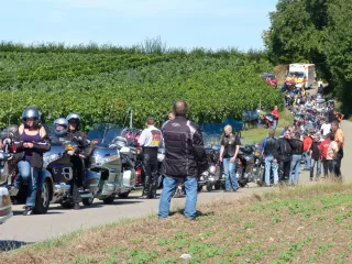 097_201109-30.-intern-GWCD-