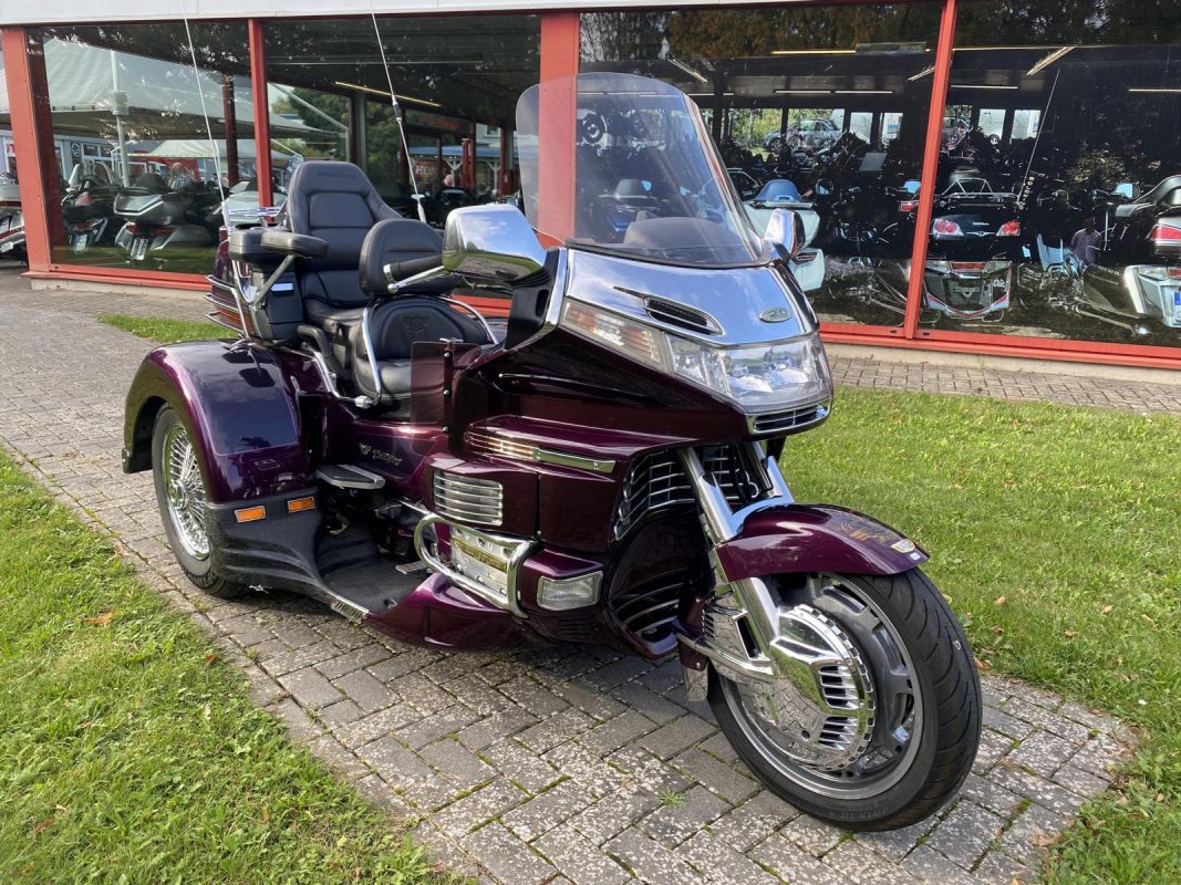Goldwing Fuchs Uslar