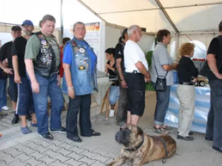 115_201109-30.-intern-GWCD-